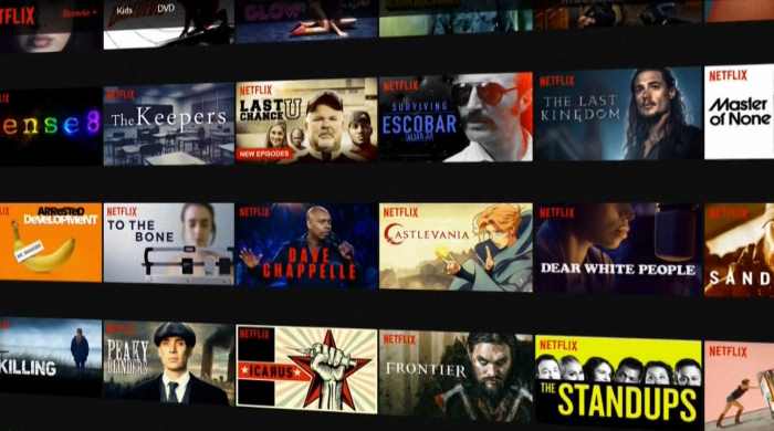 Provide you a Netflix 4K UHD share account for 30 days